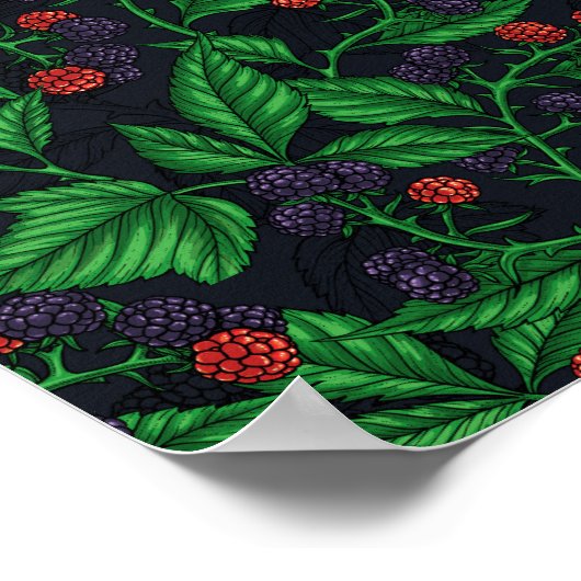 Zwarte bessen op donkergrijs poster (Hoek)