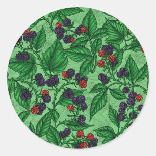 Zwarte bessen op groen ronde sticker