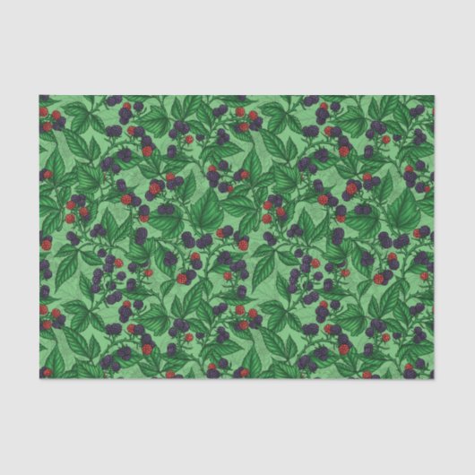 Zwarte bessen op groen tissuepapier (Voorkant)