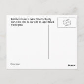 Zwarte bessen op Lopez Briefkaart (Achterkant)