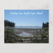 Zwarte bessen op Lopez Briefkaart (Voorkant)