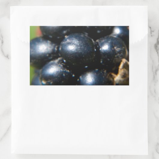 Zwarte bessen rechthoekige sticker (Tas)