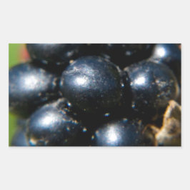 Zwarte bessen rechthoekige sticker
