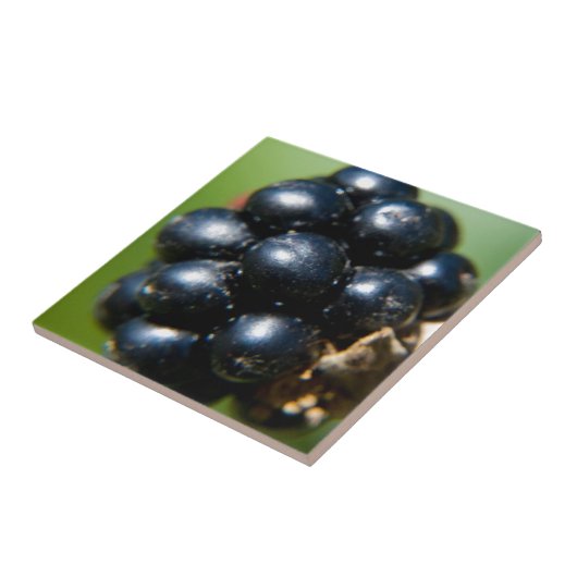 Zwarte bessen tegeltje (Zijkant)