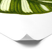  zwarte-bladafdrukken in botanische vorm poster (Hoek)