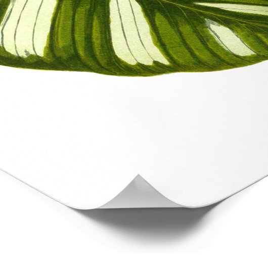 zwarte-bladafdrukken in botanische vorm poster (Hoek)