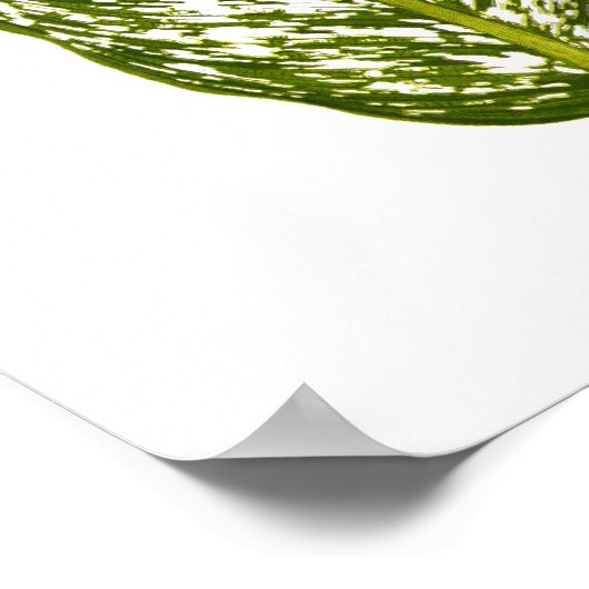 zwarte-bladafdrukken in botanische vorm poster (Hoek)