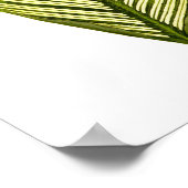 zwarte-bladafdrukken in botanische vorm poster (Hoek)