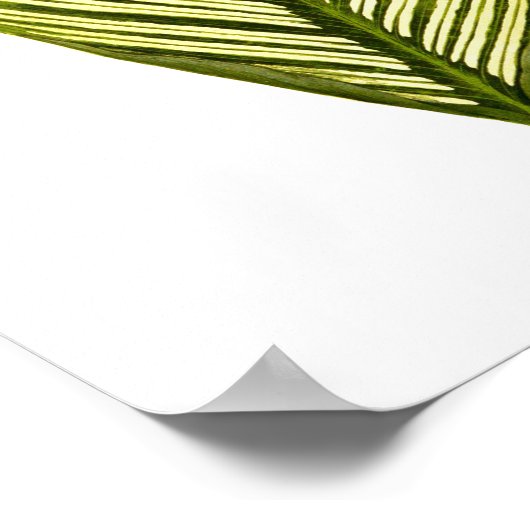 zwarte-bladafdrukken in botanische vorm poster (Hoek)