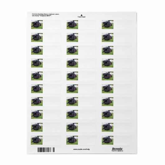 zwarte bok etiket (Full Sheet)