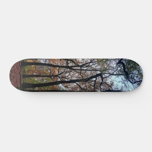 Zwarte bomen in het bos persoonlijk skateboard (Horizontaal)