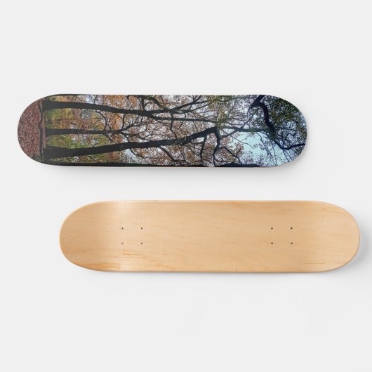 Zwarte bomen in het bos persoonlijk skateboard (Horizontaal)