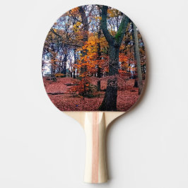 Zwarte bomen, met oranje bladeren tafeltennisbatje