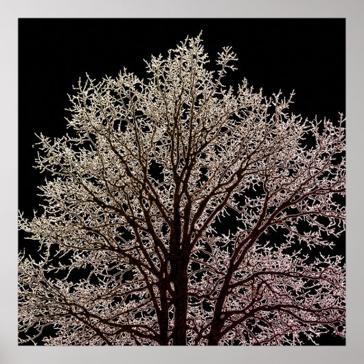 Zwarte boom poster (Voorkant)