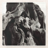 Zwarte boomrand glazen onderzetter (Voorkant)