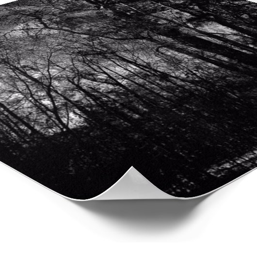 ZWARTE BOSSEN OP POSTER (Hoek)