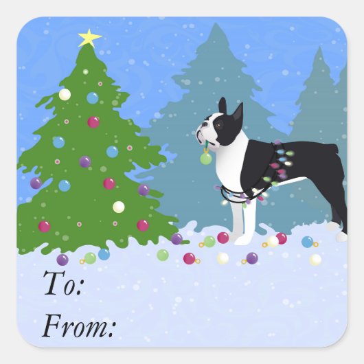 Zwarte Boston Terrier in kerstbos Vierkante Sticker (Voorkant)