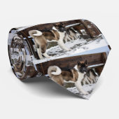 zwarte bovenlaag van akita stropdas (Opgerold)