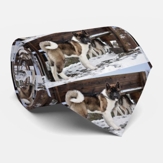 zwarte bovenlaag van akita stropdas (Opgerold)