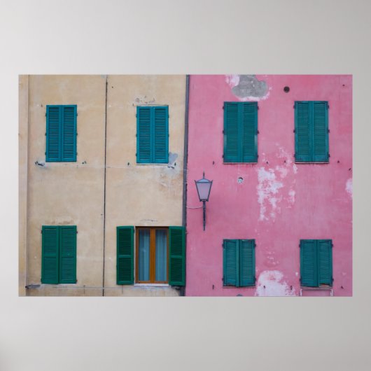 ZWARTE BUDZORG OP PINK PAINK WALL POSTER (Voorkant)