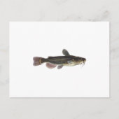 Zwarte Bullhead Catfish Art Briefkaart (Voorkant)