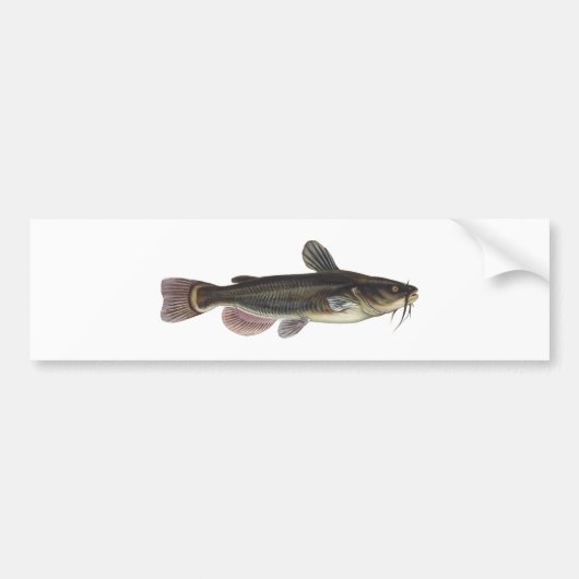 Zwarte Bullhead Catfish Art Bumpersticker (Voorkant)