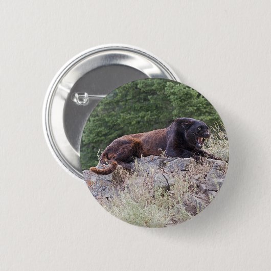 Zwarte Button (Voorkant /achterkant)