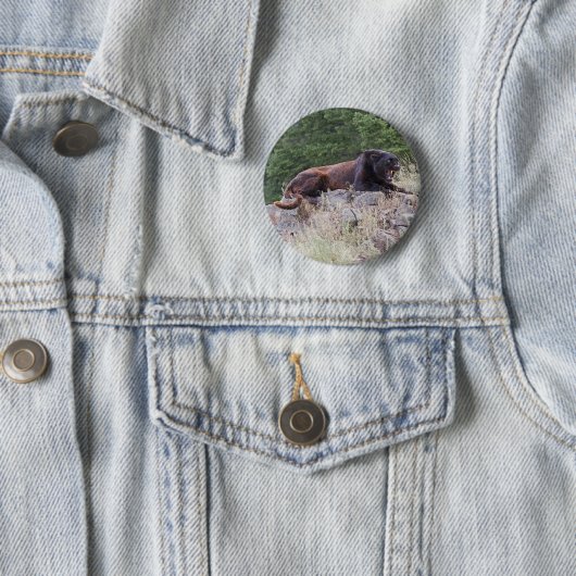 Zwarte Button (In situ)