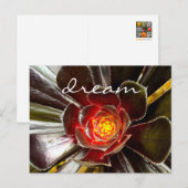 Zwarte Cactus Succulent Fotografie Droomscript Briefkaart (Voorkant / Achterkant)