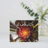 Zwarte Cactus Succulent Fotografie Droomscript Briefkaart (Staand voorkant)