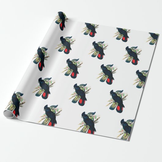 Zwarte cadeaubonnen voor katoenprogramma's cadeaupapier (Uitgerold)