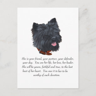 Zwarte Cairn Terrier Aandenken - Vrouwelijk Briefkaart
