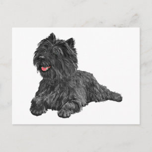 Zwarte Cairn Terrier Briefkaart