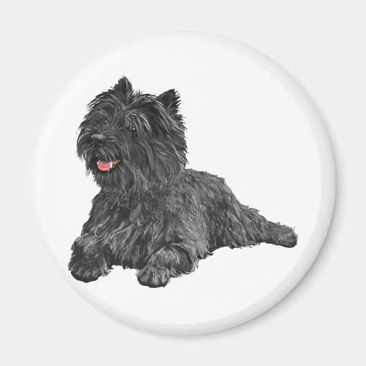 Zwarte Cairn Terrier Magneet (Voorkant)