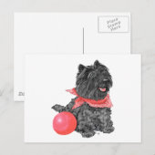 Zwarte Cairn Terrier met Bal Briefkaart (Voorkant / Achterkant)