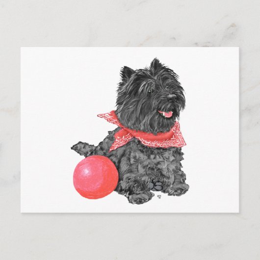 Zwarte Cairn Terrier met Bal Briefkaart (Voorkant)