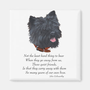 Zwarte Cairn Terrier Regenboogbrug Magneet