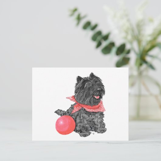 Zwarte Caïro Terrier met bal Briefkaart (Staand voorkant)
