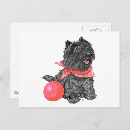 Zwarte Caïro Terrier met bal Briefkaart (Voorkant / Achterkant)