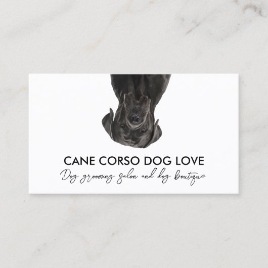 Zwarte Cane Corso Hond Visitekaartje (Voorkant)