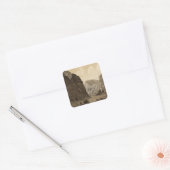 Zwarte Canon, Colorado, rivier 2 Vierkante Sticker (Envelop)