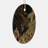 Zwarte Canyon van de Gunnison Keramisch Ornament (Rechts)