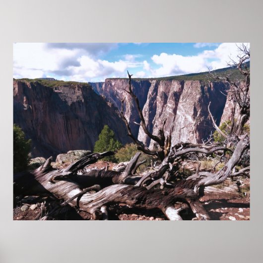 Zwarte Canyon van de Gunnison Poster (Voorkant)