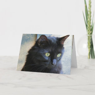 Zwarte Cat notitiekaarten, blanco binnenzijde Kaart