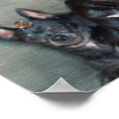 Zwarte Chihuahua Dog met maattekst voor muis Poster (Hoek)