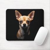 Zwarte Chihuahua Hond Chihuahua Gezicht Muismat (Met muis)