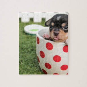 Zwarte chihuahua puppy in een rode spotty cup legpuzzel