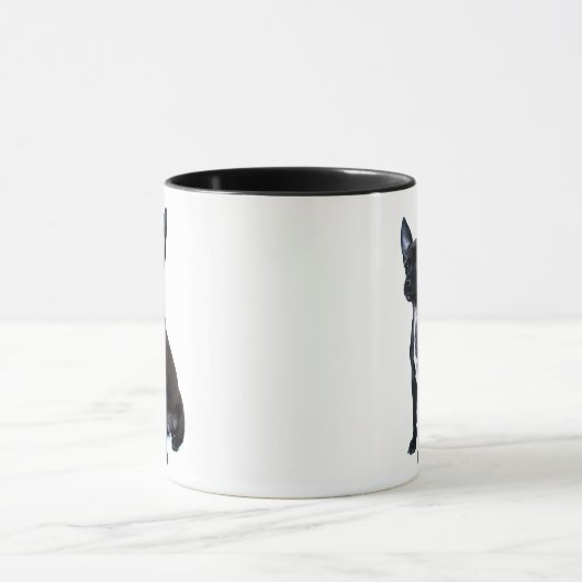 Zwarte Chihuahua puppy Mok (Midden)