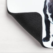 Zwarte Chihuahua puppy Muismat (Hoek)