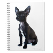 Zwarte Chihuahua puppy Notitieboek (Voorkant)